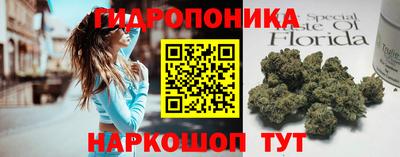 spice Сланцы