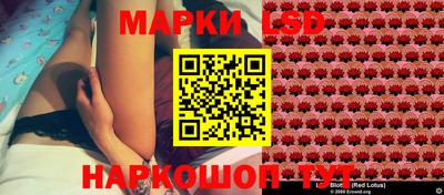 spice Сланцы