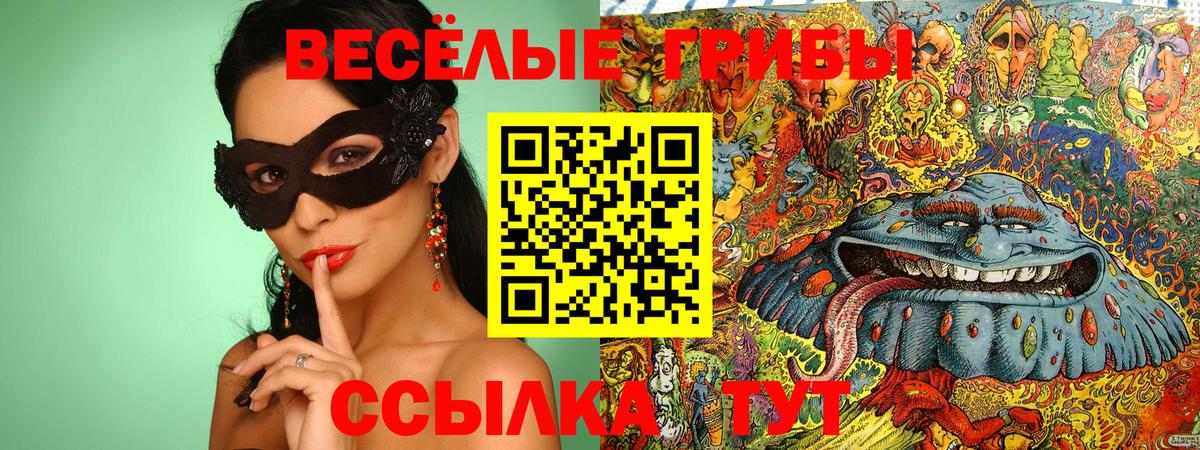 Галлюциногенные грибы мицелий Уссурийск